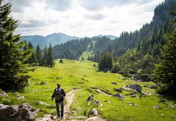 Almwanderungen sind herrlich