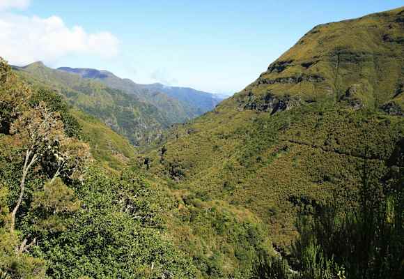 Levada der 25 Quellen: Wandern im Quellgebiet auf der portugiesischen Insel Madeira