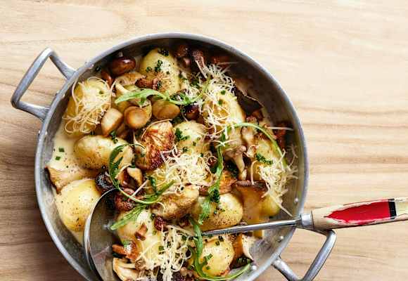 Pilze Rezept