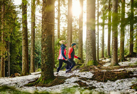 Wandern im Winter