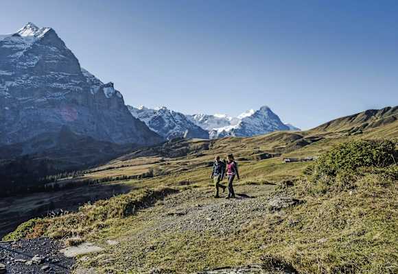 Gletschertrekking am Aletschgletscher