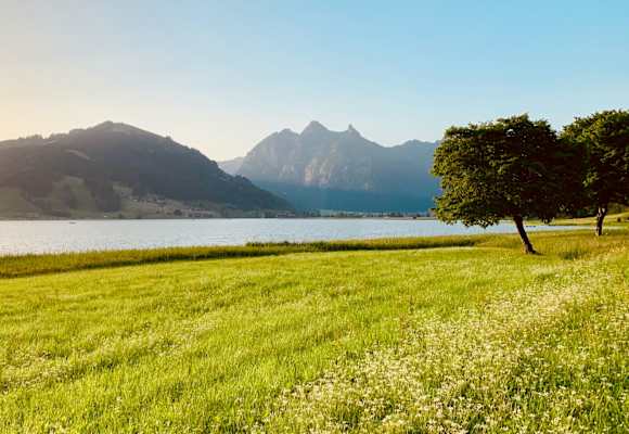 Morgenstimmung am Sihlsee im Kanton Schwyz