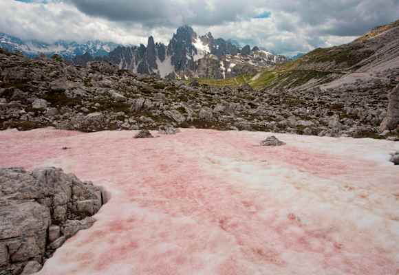 Wassermelonenschnee in den italienischen Dolomiten
