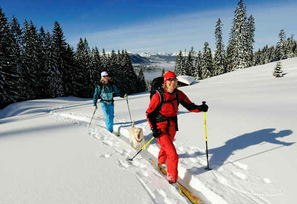 Skitourengeher am Dürrnbachhorn (1.776 m) in den Chiemgauer Alpen an der Grenze von Salzburg und Bayern