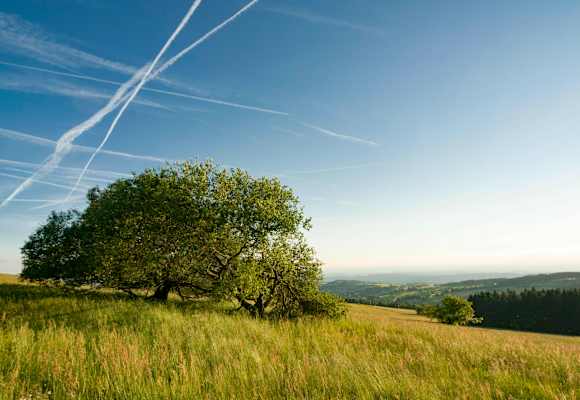 Blick vom Hoherodskopf am Vogelsberg in Hessen