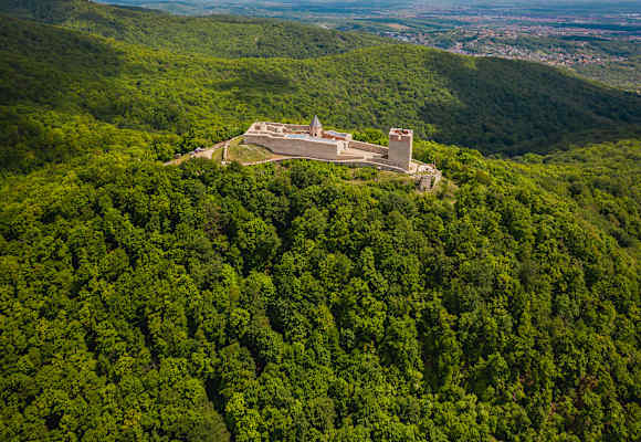 Eine Festung auf dem Berg umrandet von Wald.