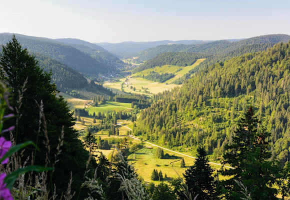 Menzenschwander Geißenpfad: Hochschwarzwald in Baden-Württemberg