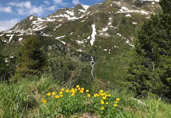 Saubere Berge - unterwegs im Mölstal in den Tuxer Alpen.