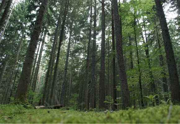 Moldau Bayerischer Wald Wanderung