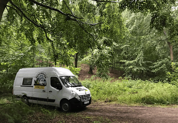 Lauras Schlafplatz im Wald von Møns Klint
