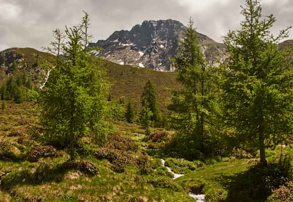 Ein Bach kreuzt den Weg Richtung Mahd-Alm.