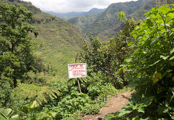 Wandern zwischen Reisfeldern auf den Philippinen