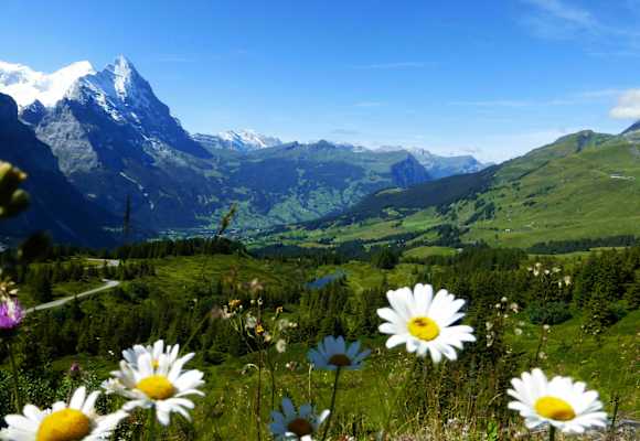 Rundwanderung in der Jungfrau-Region: Durchs Reichenbachtal im Berner Oberland