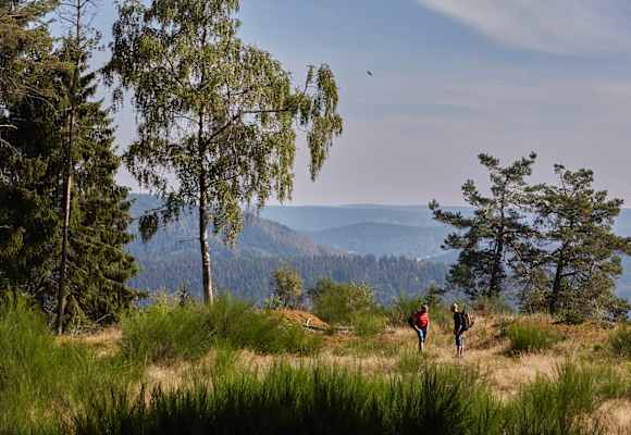 Deutscher Wandertag: Am Rennsteig im Thüringer Wald