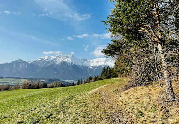 Das Naturschutzgebiet Rosengarten bei Patsch oberhalb von Innsbruck ist schon schneefrei.