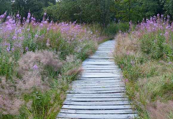Wandern im Naturpark Bayerische Rhön
