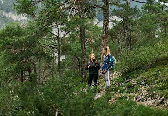 Wandern im Wald