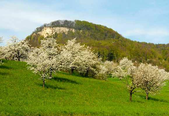 Wandern im Baselland: Sissacherflue