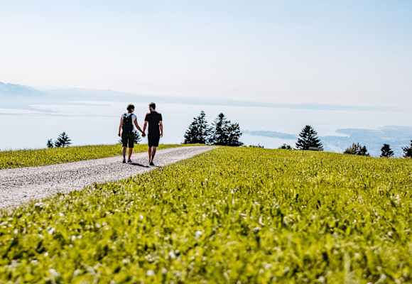 Ein Mann und eine Frau gehen Hand in Hand einen Wanderweg in Scheidegg entlang.