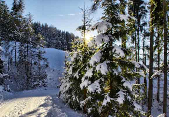 Winterwanderweg Vierawasch: Wandern bei Mühlbach am Hochkönig in Salzburg