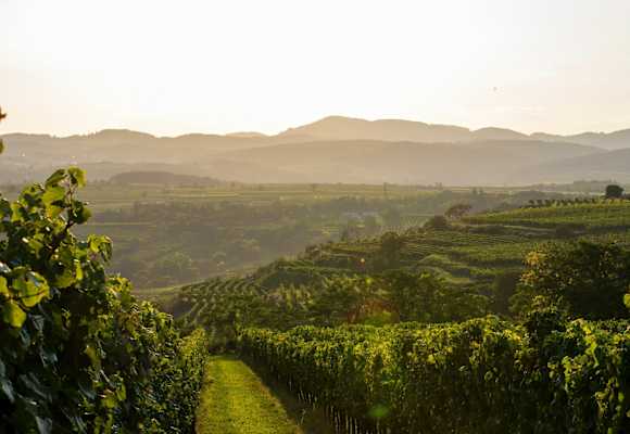Wachau