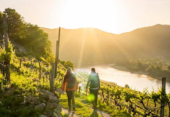 Durch die Weinrieden in Weißenkirchen