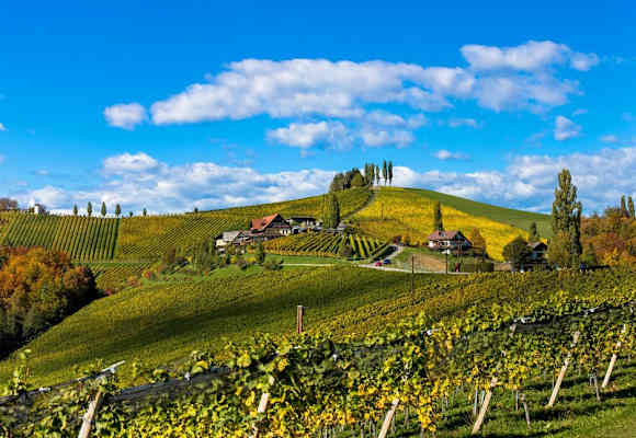Wunderschöne Weinberge entlang der Südsteirischen Weinstraße 