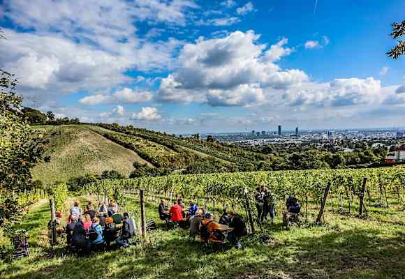Wiener Weinwandertag