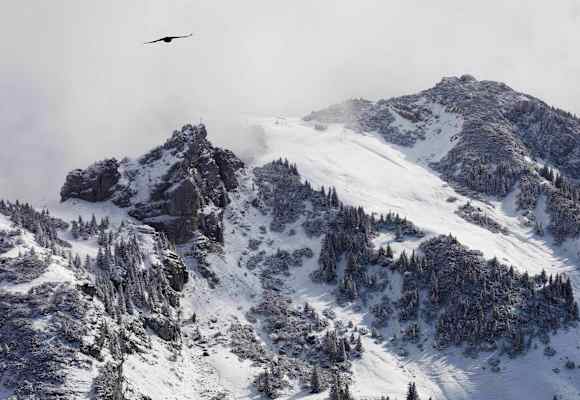 Bayerische Voralpen: Blick aufs Wildalpjoch im Winter