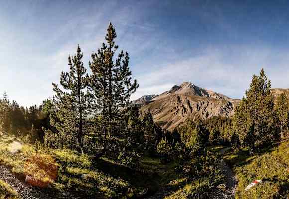 Wandern in Graubünden: Etappe 7 des Nationalpark-Panoramawegs von Zernez nach Lavin