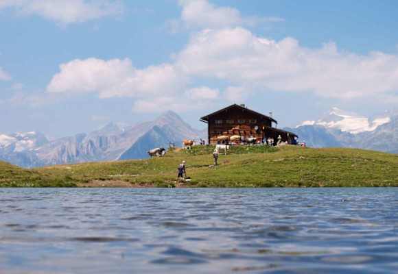 Zupalseehütte