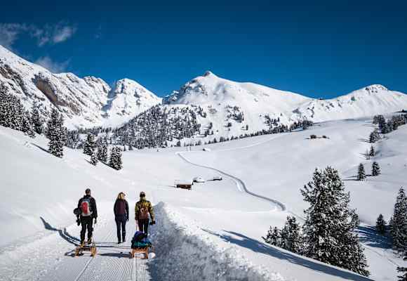 Am Weg zur Schlüterhütte - rechts oben.