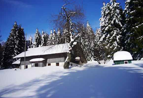Nur ein paar hundert Meter von Deggendorf entfernt befindet sich auf der Rusel die Hochwaldhütte