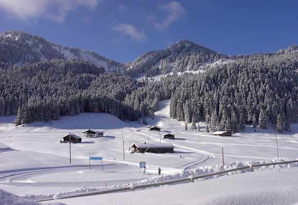 Die Albert-Link-Hütte iegt auf 1.053 m Seehöhe auf der weitläufigen Valepper Alm, gesäumt von sanft ansteigenden, bewaldeten Bergflanken.