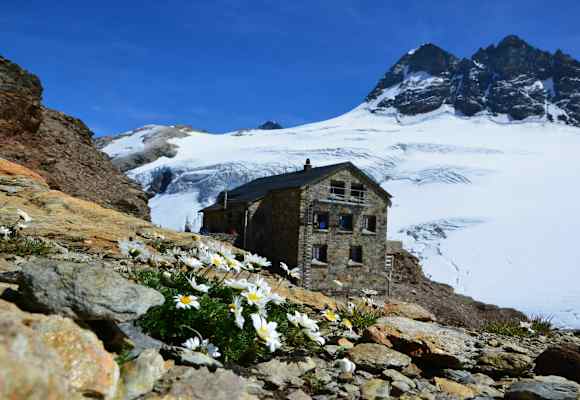 Mutthornhütte
