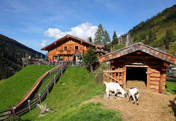 Die Reitalm