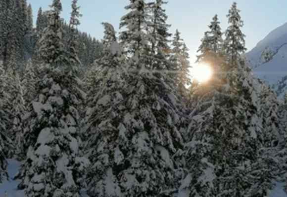 Winterlandschaft auf der Stadlalm