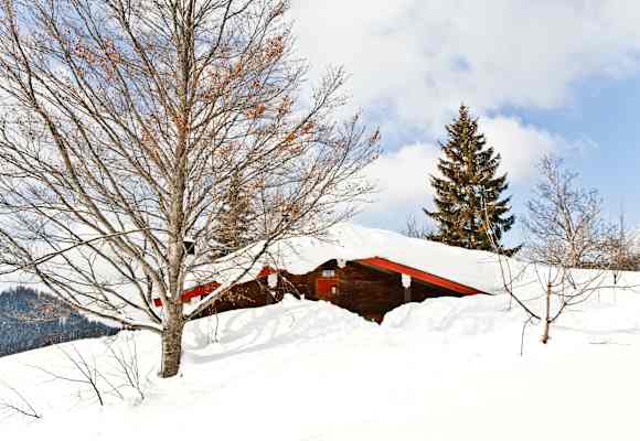 Die Winkelmoosalm-Hütte steht, wie auch die Winklmooshütte, auf der Winkelmoosalm, idyllisch in den Chiemgauer Bergen an der deutsch-österreichischen Grenze in Bayern. 