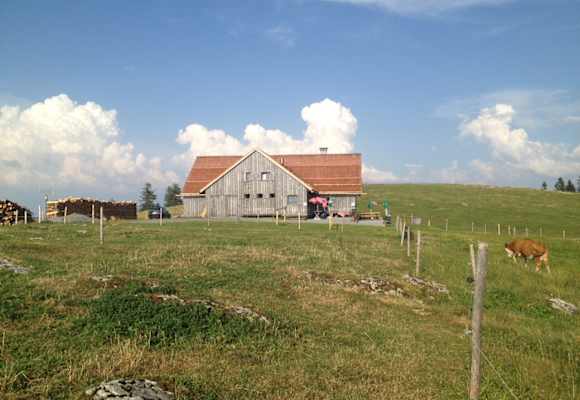 Alpe Weissenfluh