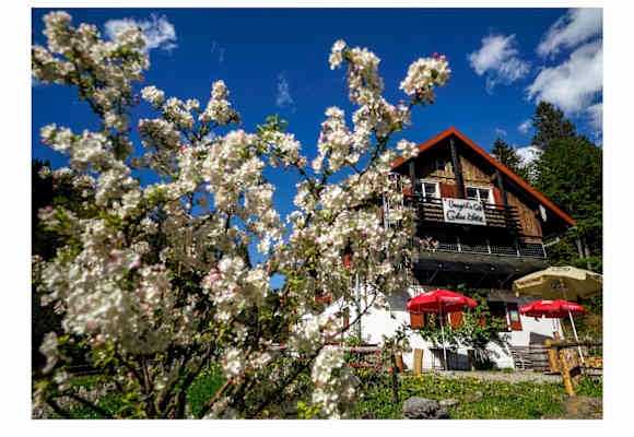 Bergwaldhaus Dreiangelhütte