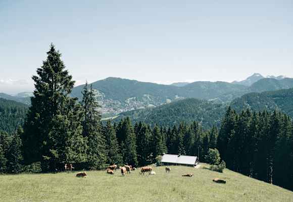 Die Kreuzbergalm auf 1.223m Höhe