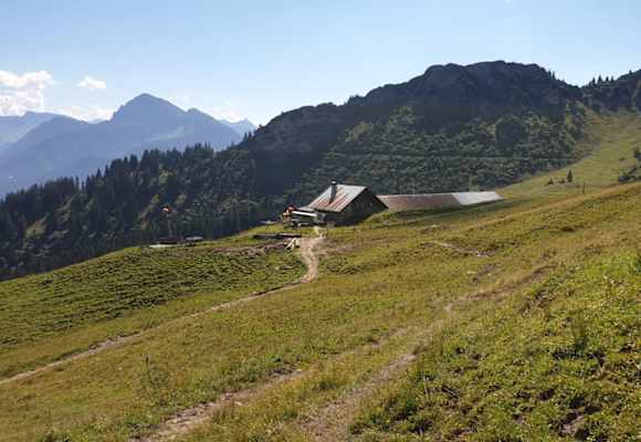 Die Lechaschauer Alm liegt auf 1.670 m