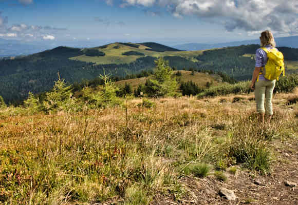Der Rappoldkogel ist ein beliebtes Wanderziel ab dem Dr.-Otto-Koren-Haus.