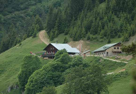 Thaurer Alm