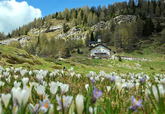 Rifugio Lancia