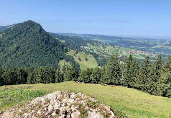 Blick auf Steibis vom Prodel