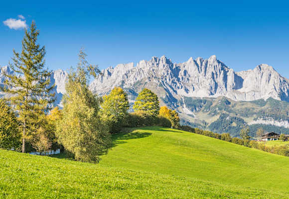Ausblick auf den Wilden Kaiser