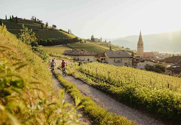 Mit dem Bike oberhalb von Tramin
