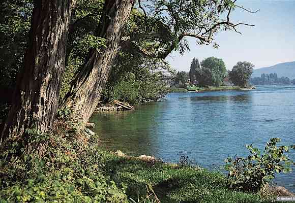 Bei Steigen verlässt der Hochrhein den Bodensee