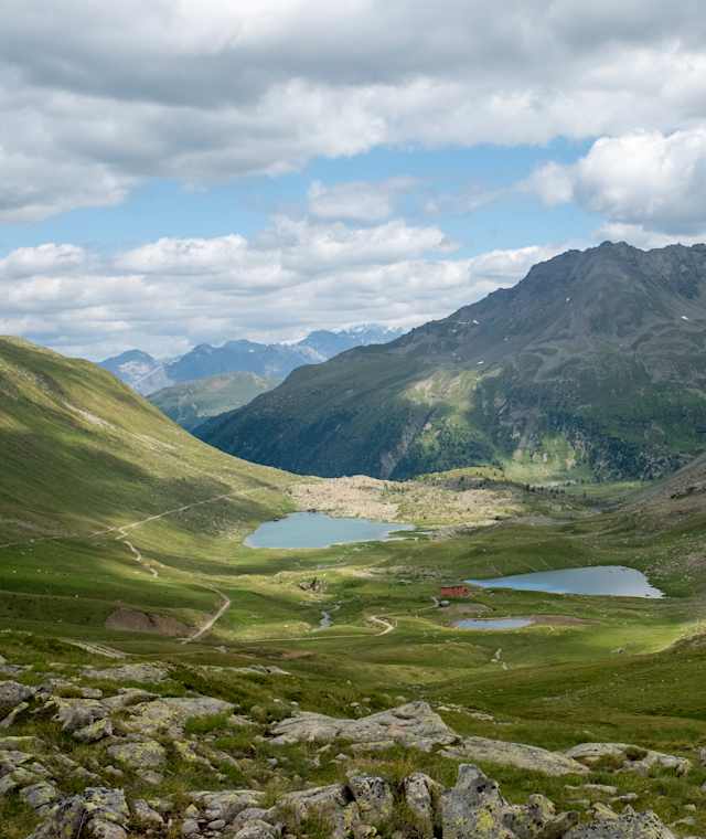 Viola Hütte